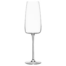 6 Piece Epicure 300ml Champagne Flute Set (Set of 2)